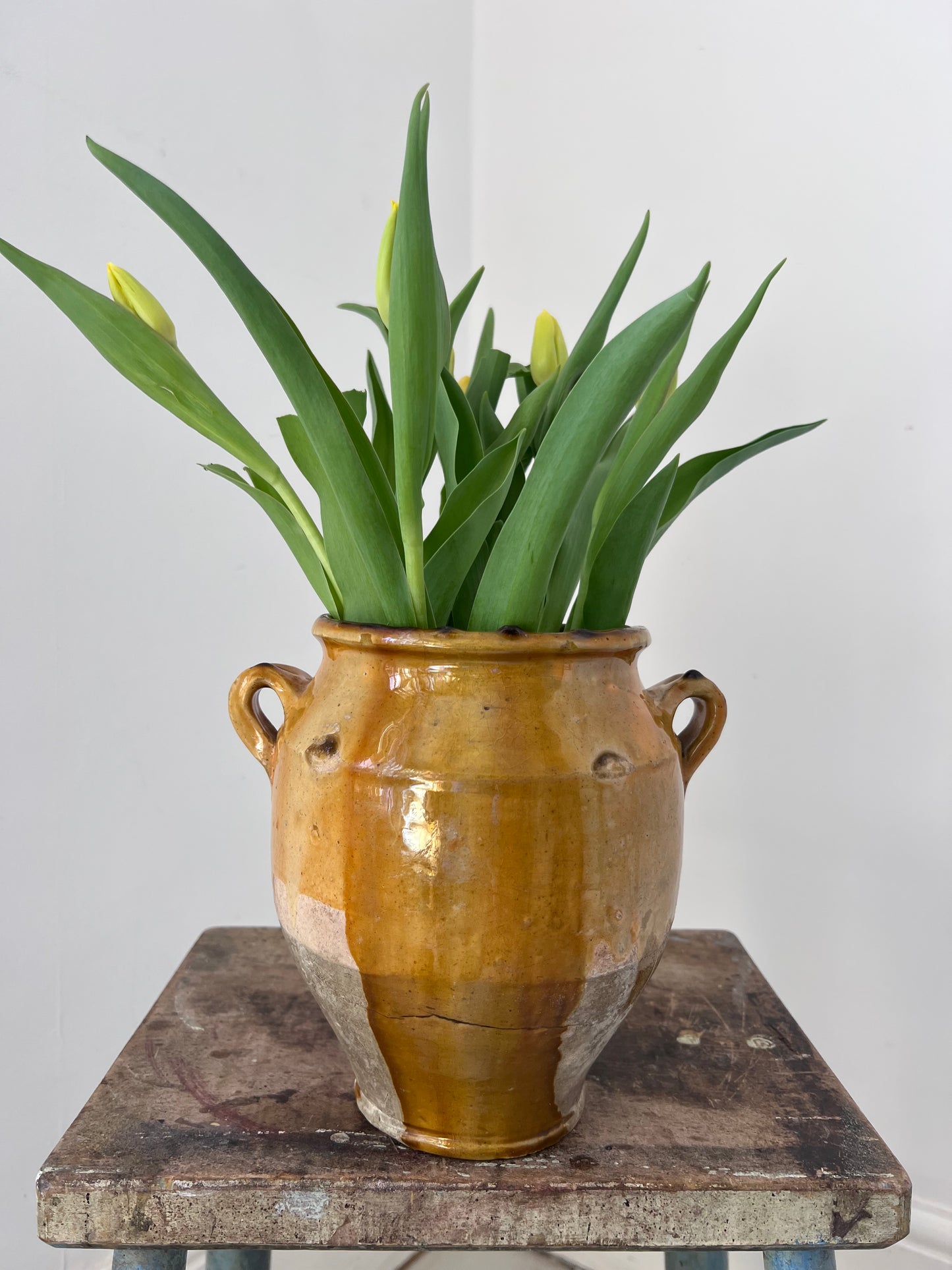 Beautiful Glazed French Confit Pot