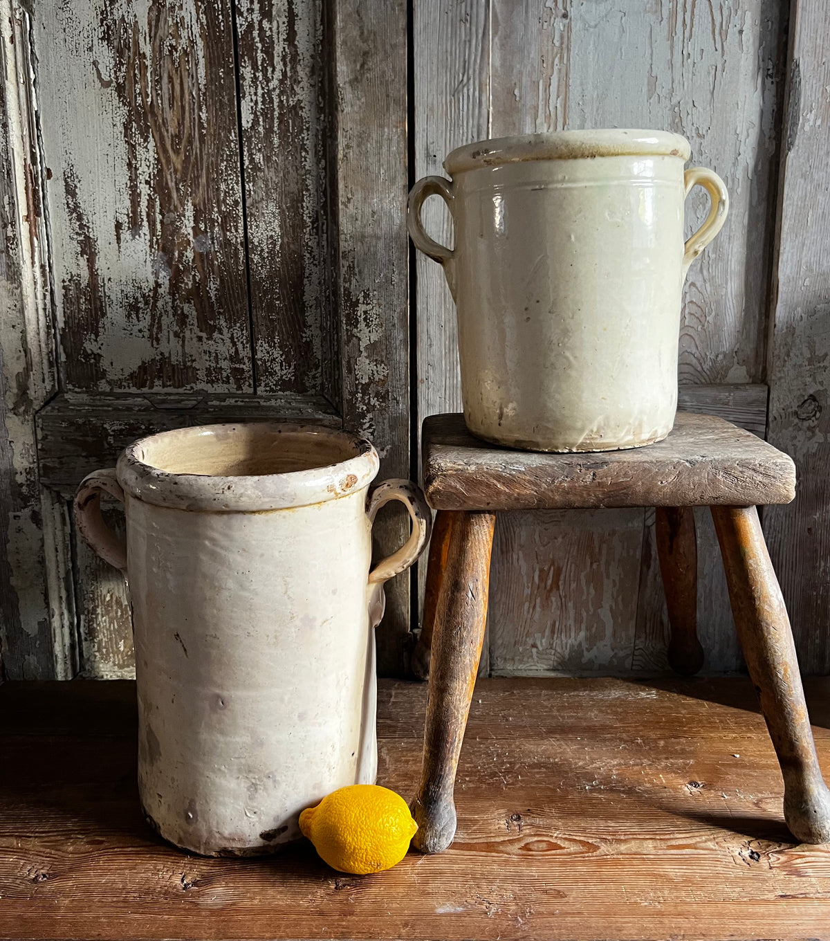 19th Century Italian Anchovy / Sardine Pot