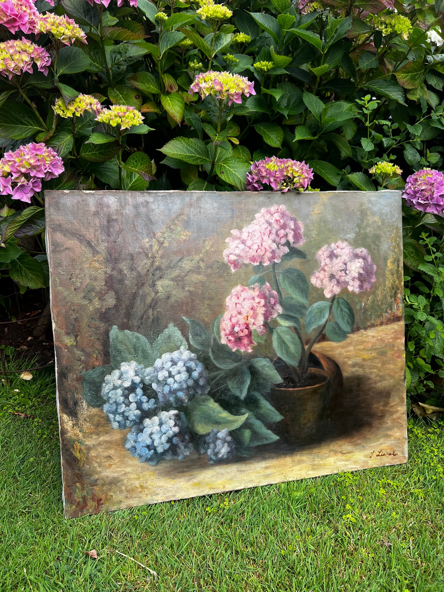 Large French Oil on Canvas Painting of Hydrangeas