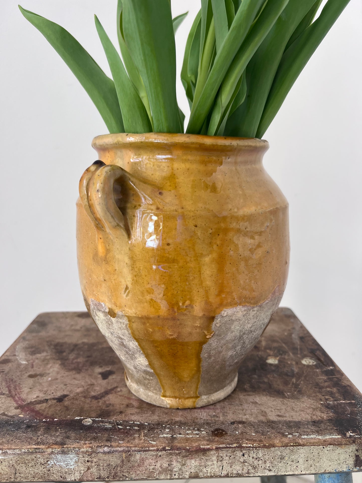 Beautiful Glazed French Confit Pot