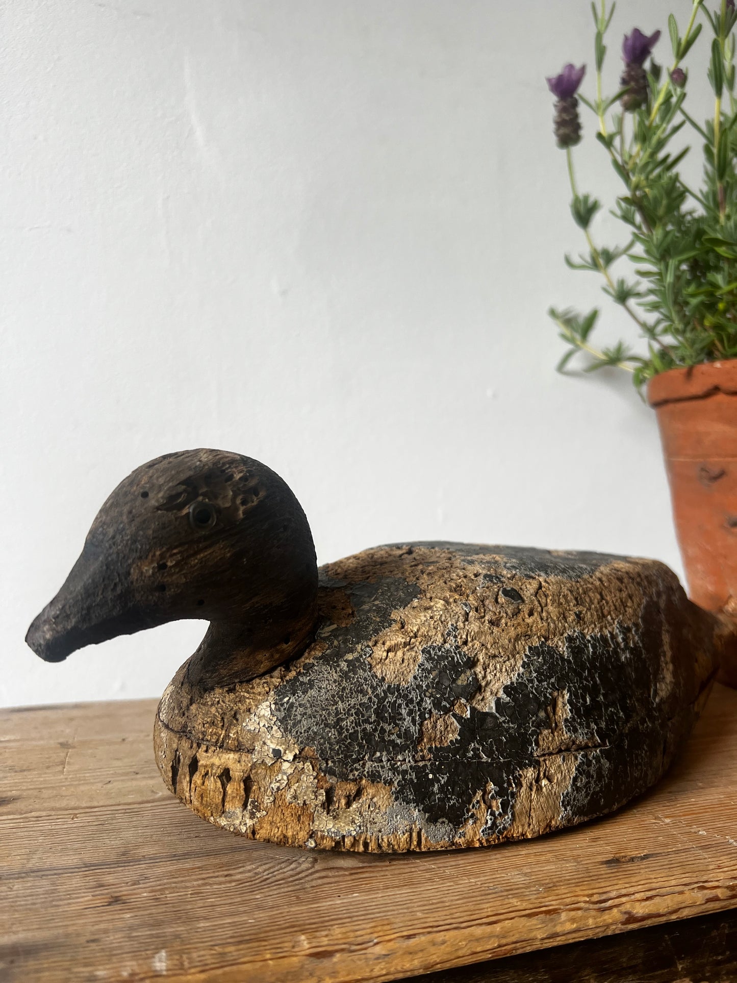 Antique French Decoy Duck No3