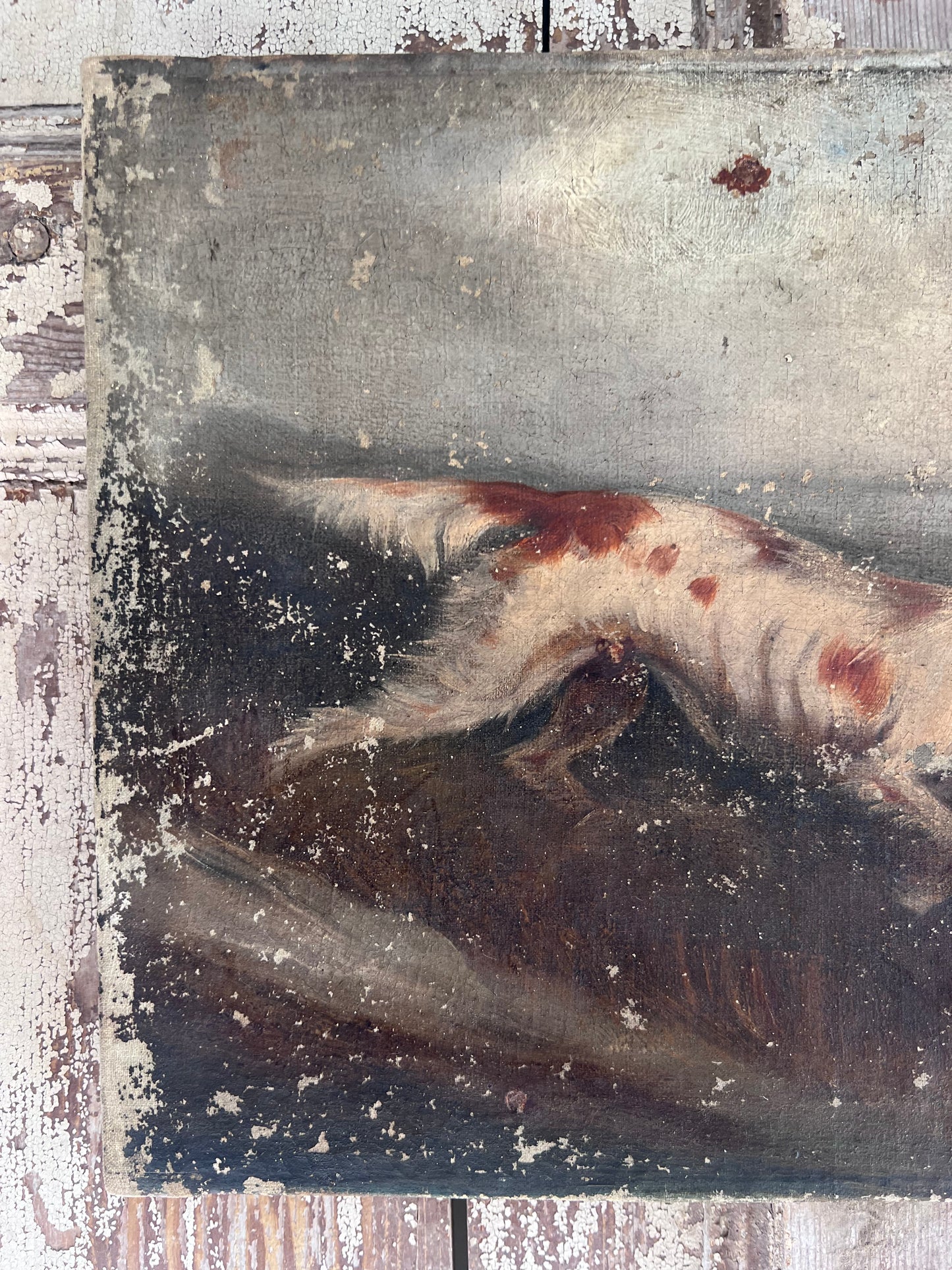 Early 19th Century Oil Painting on Canvas of a Pointer