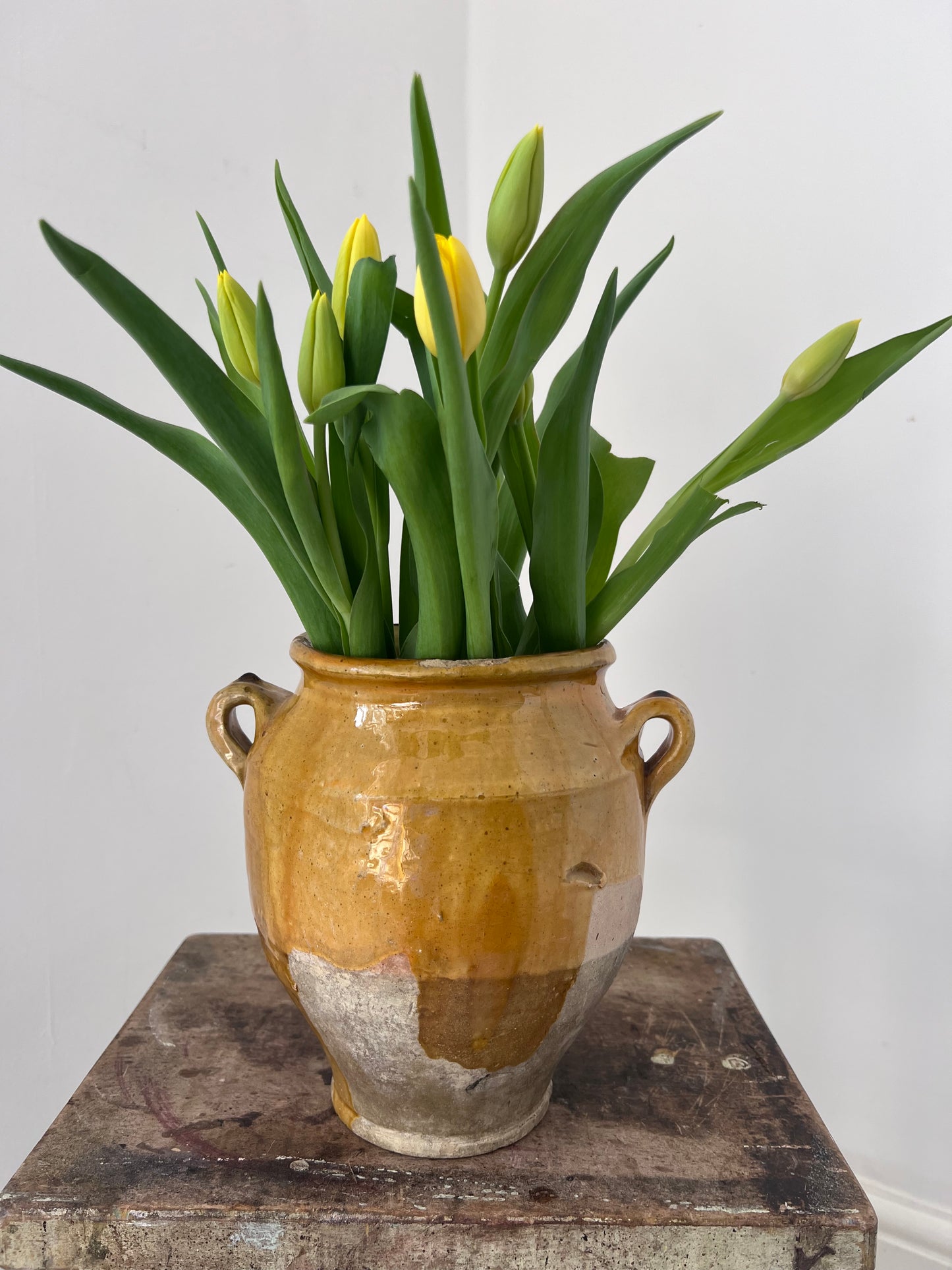 Beautiful Glazed French Confit Pot