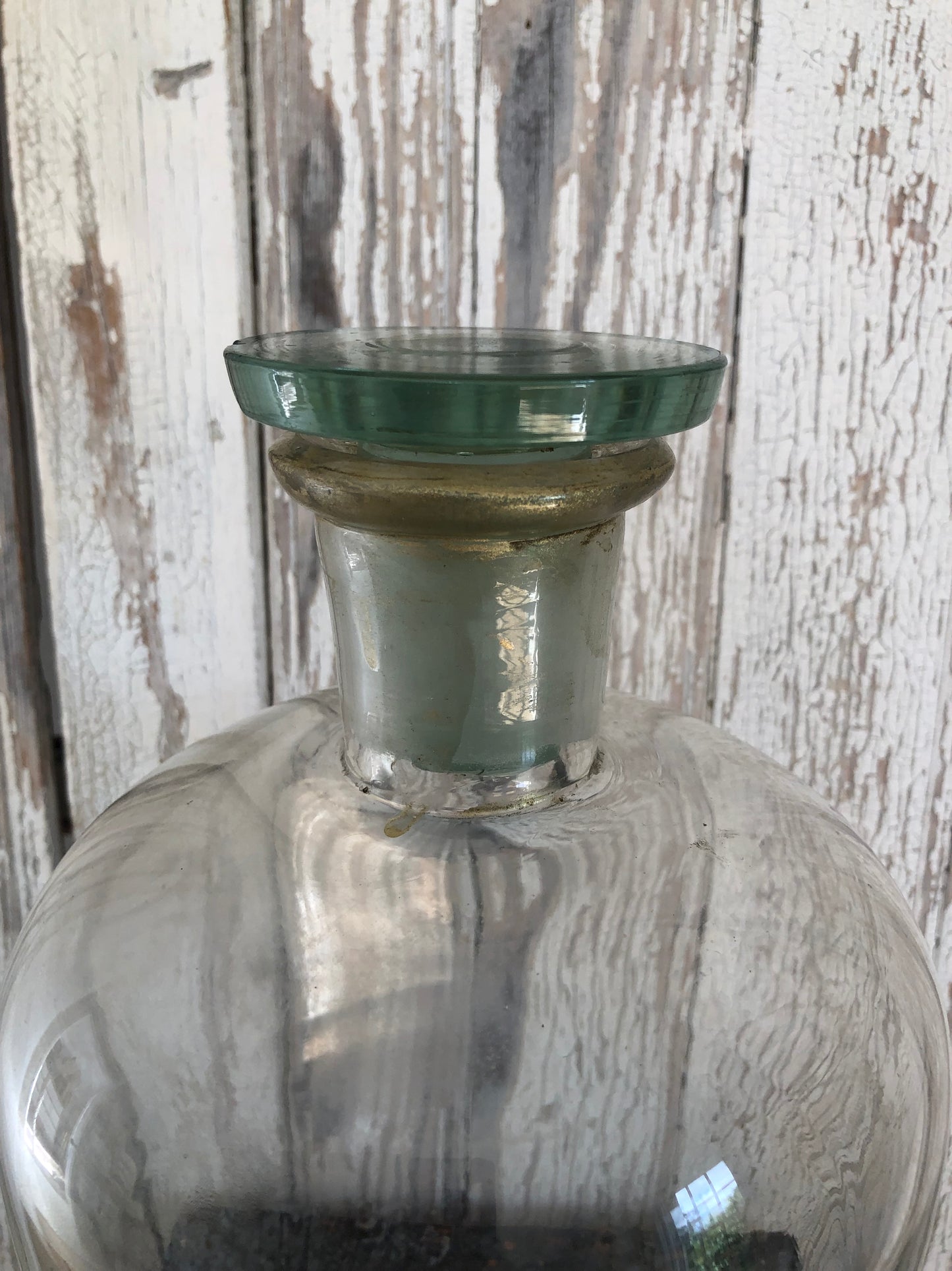 Large Glass Chemists or Apothecary Jar C1900