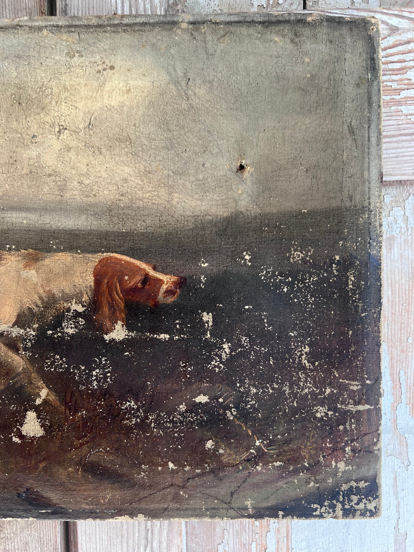 Early 19th Century Oil Painting on Canvas of a Pointer