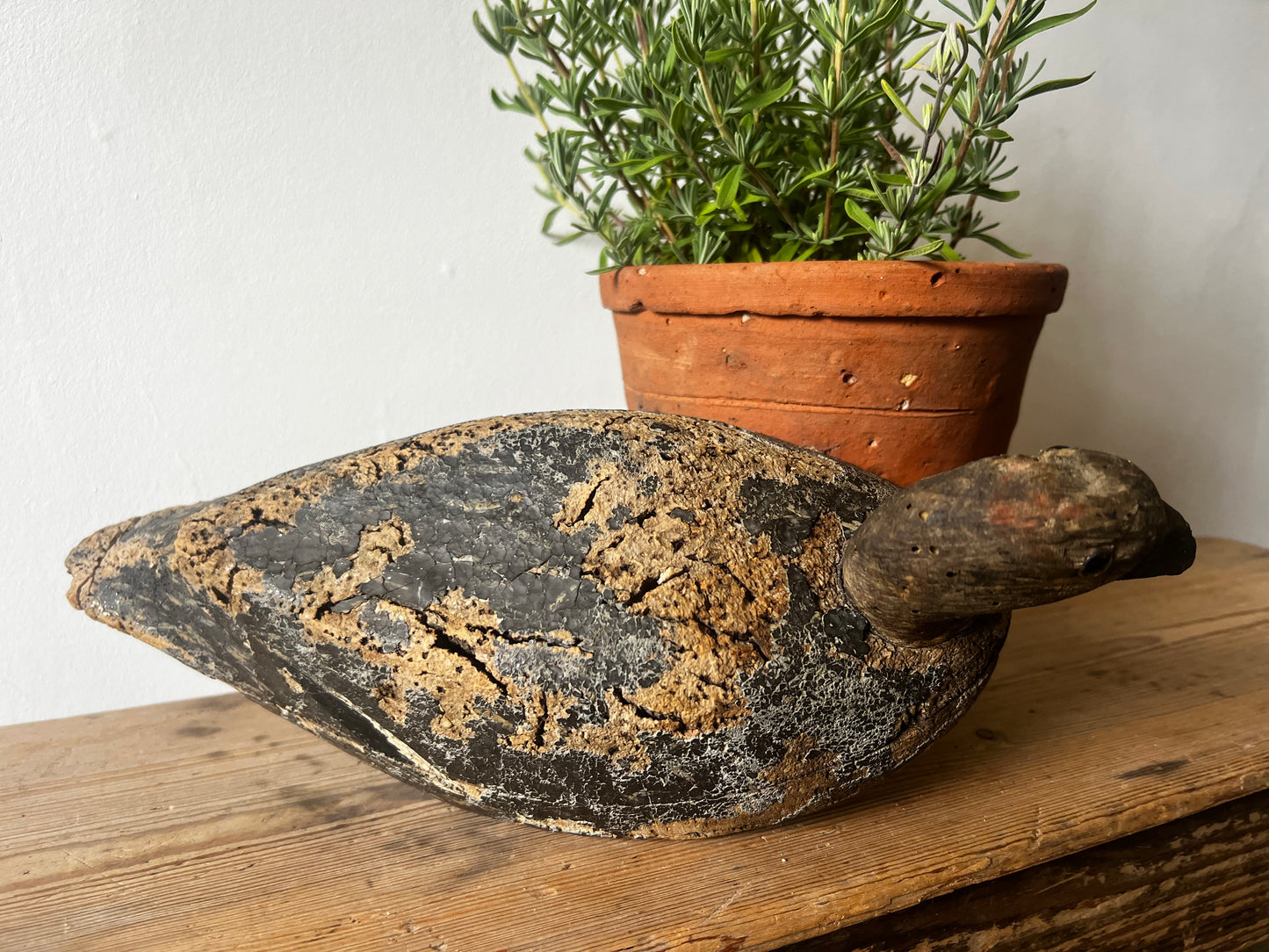 Antique French Decoy Duck No3