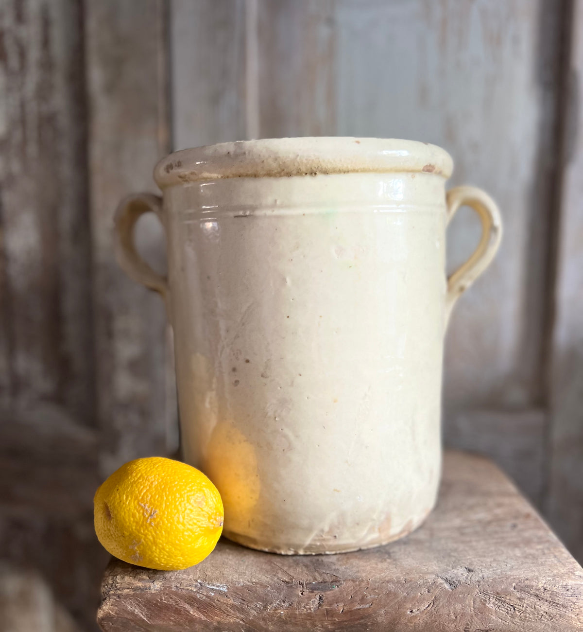 19th Century Italian Anchovy / Sardine Pot