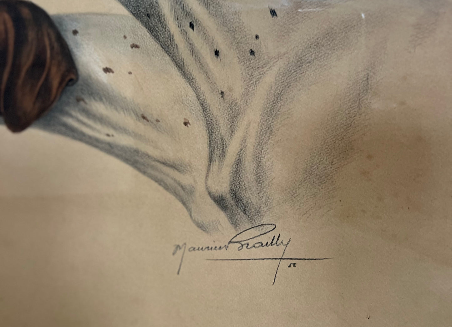 Stunning French Study of Two Pointer Dogs dated 1958