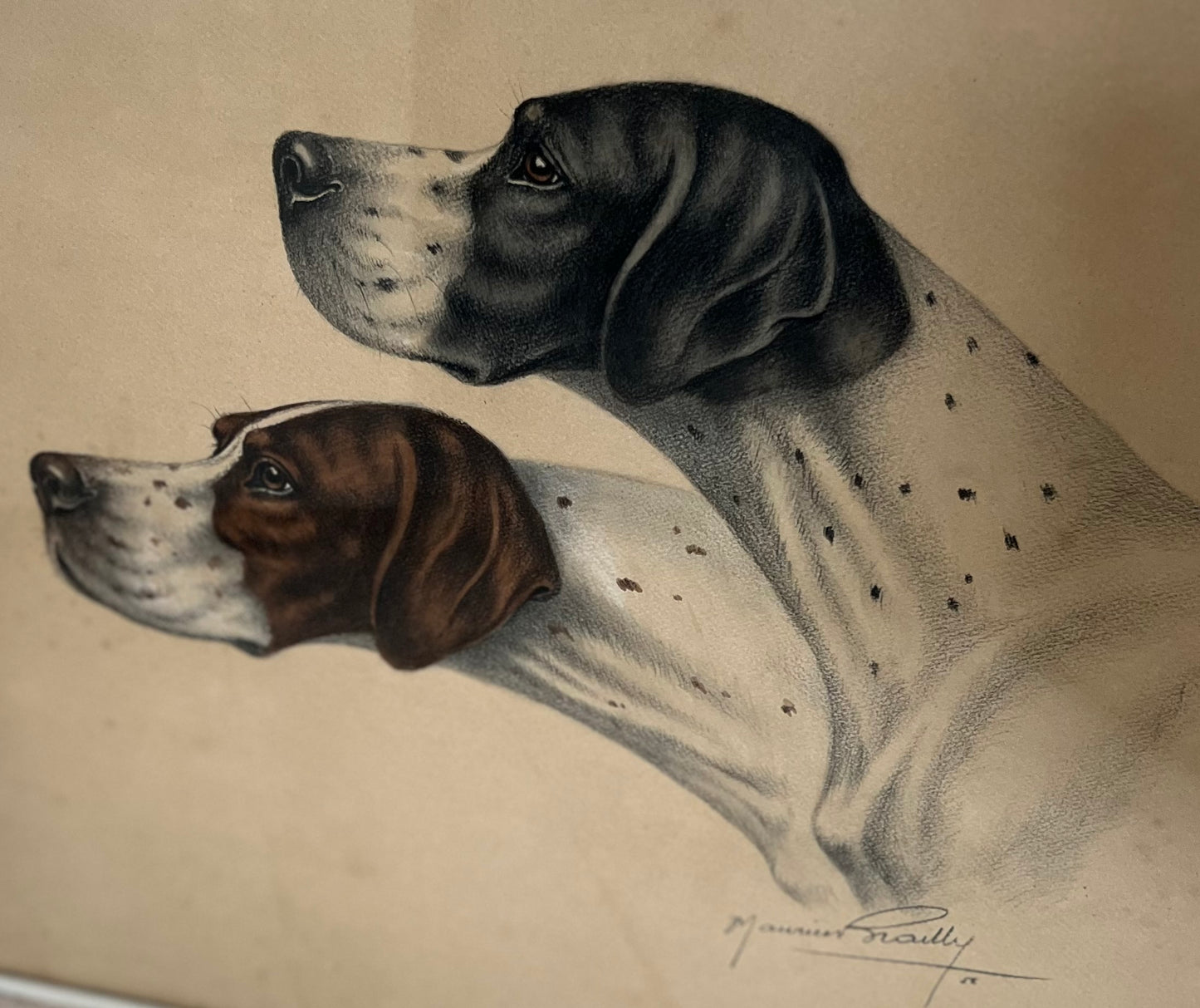Stunning French Study of Two Pointer Dogs dated 1958