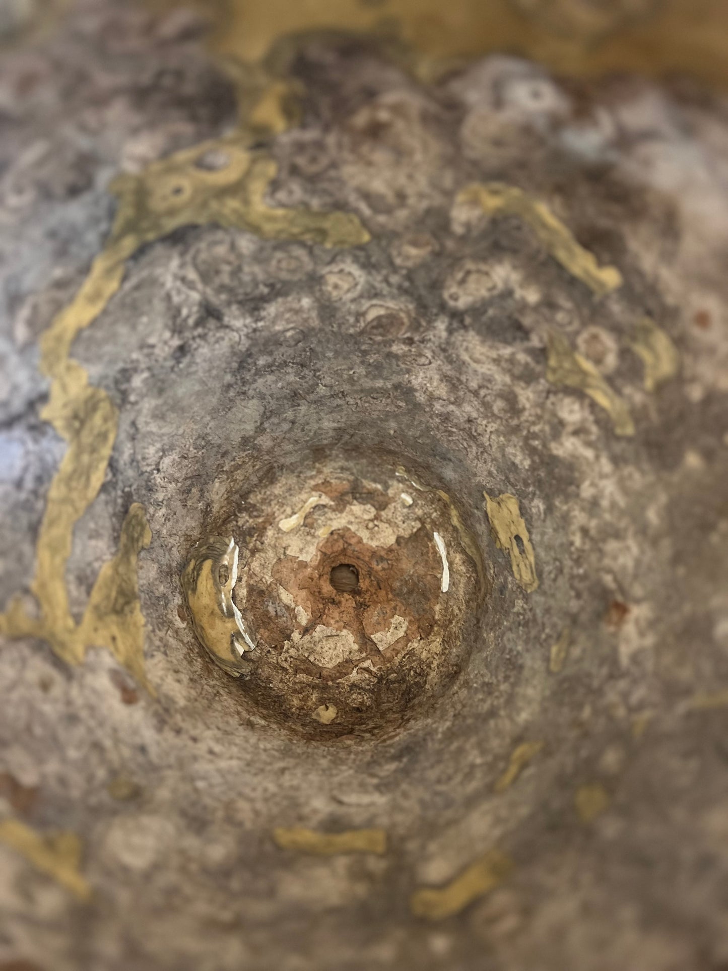 French Antique Yellow Confit Pot