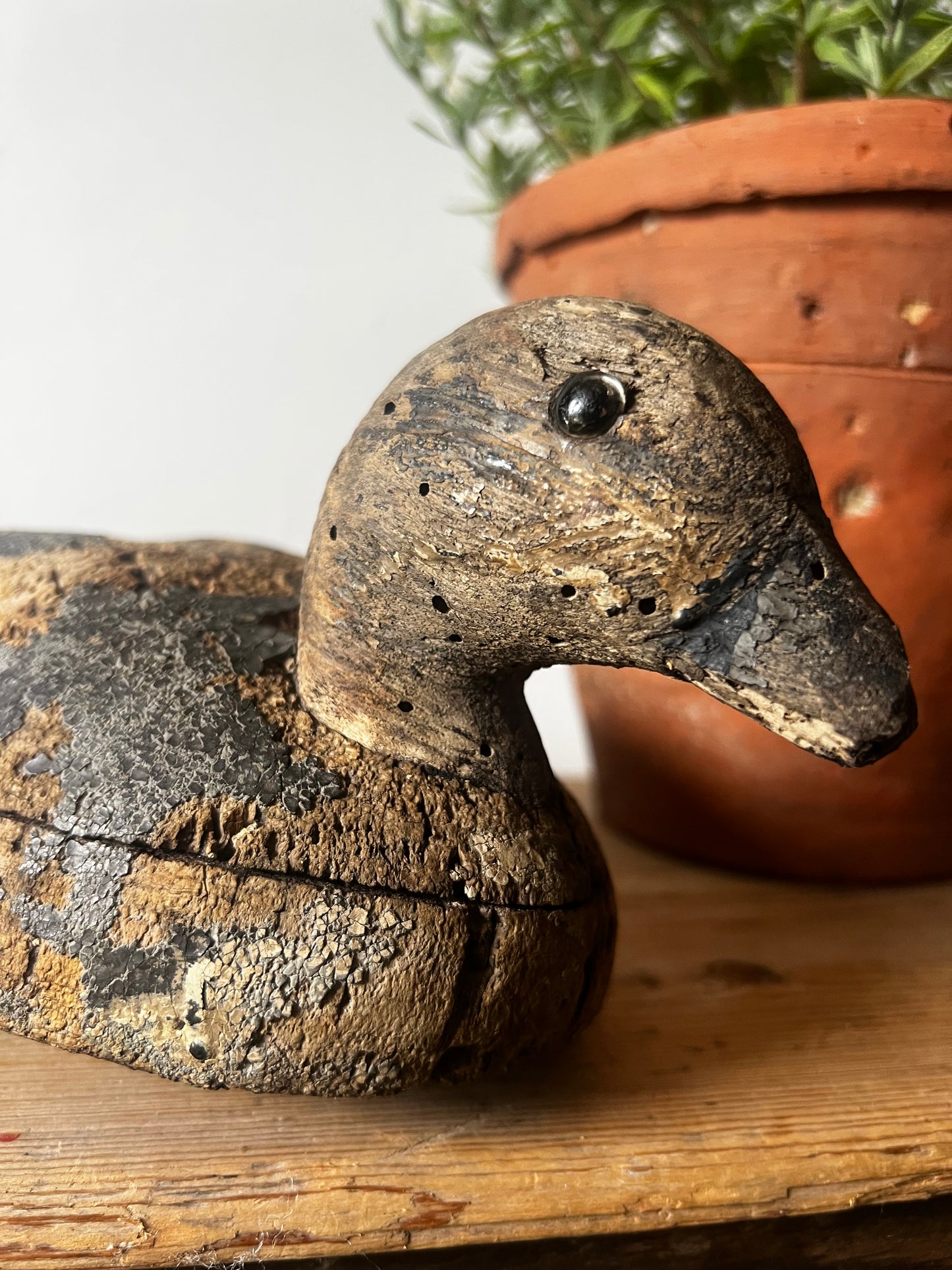 Antique French Decoy Duck No3