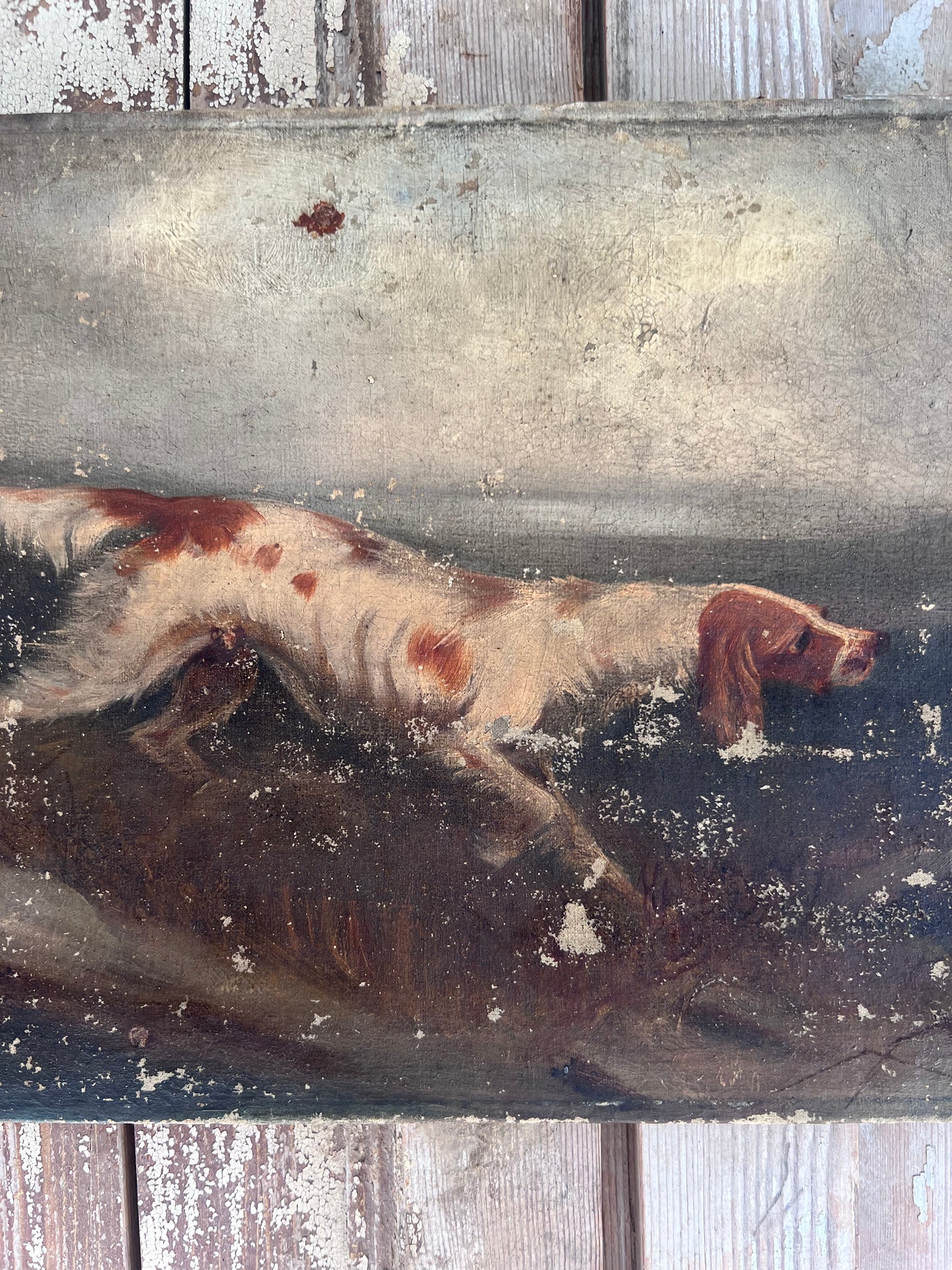 Early 19th Century Oil Painting on Canvas of a Pointer