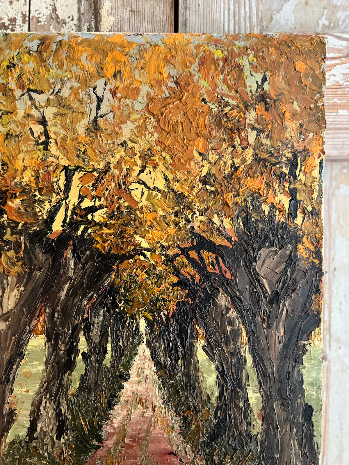 ‘Autumn Trees’ Belgian Oil on Canvas Impasto Painting