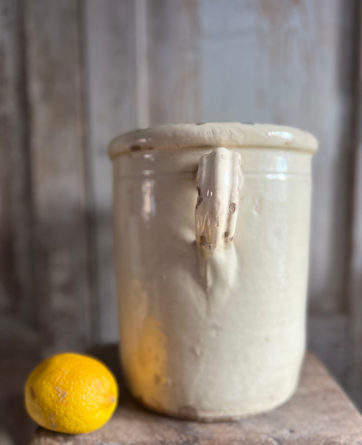 19th Century Italian Anchovy / Sardine Pot