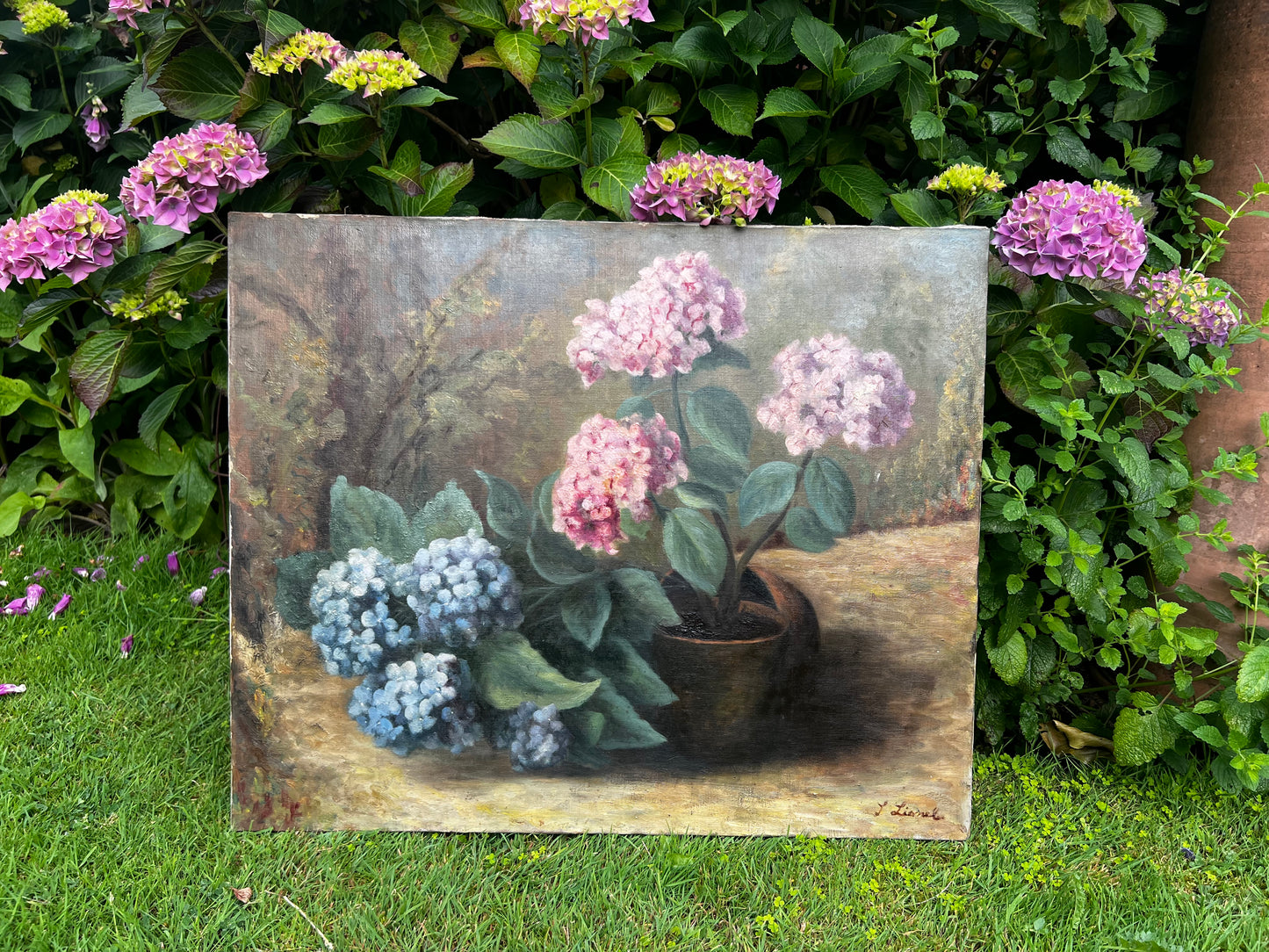 Large French Oil on Canvas Painting of Hydrangeas