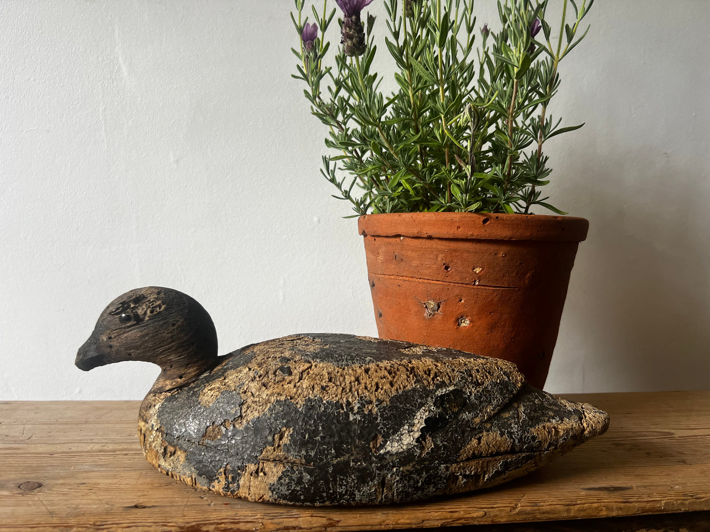 Antique French Decoy Duck No3