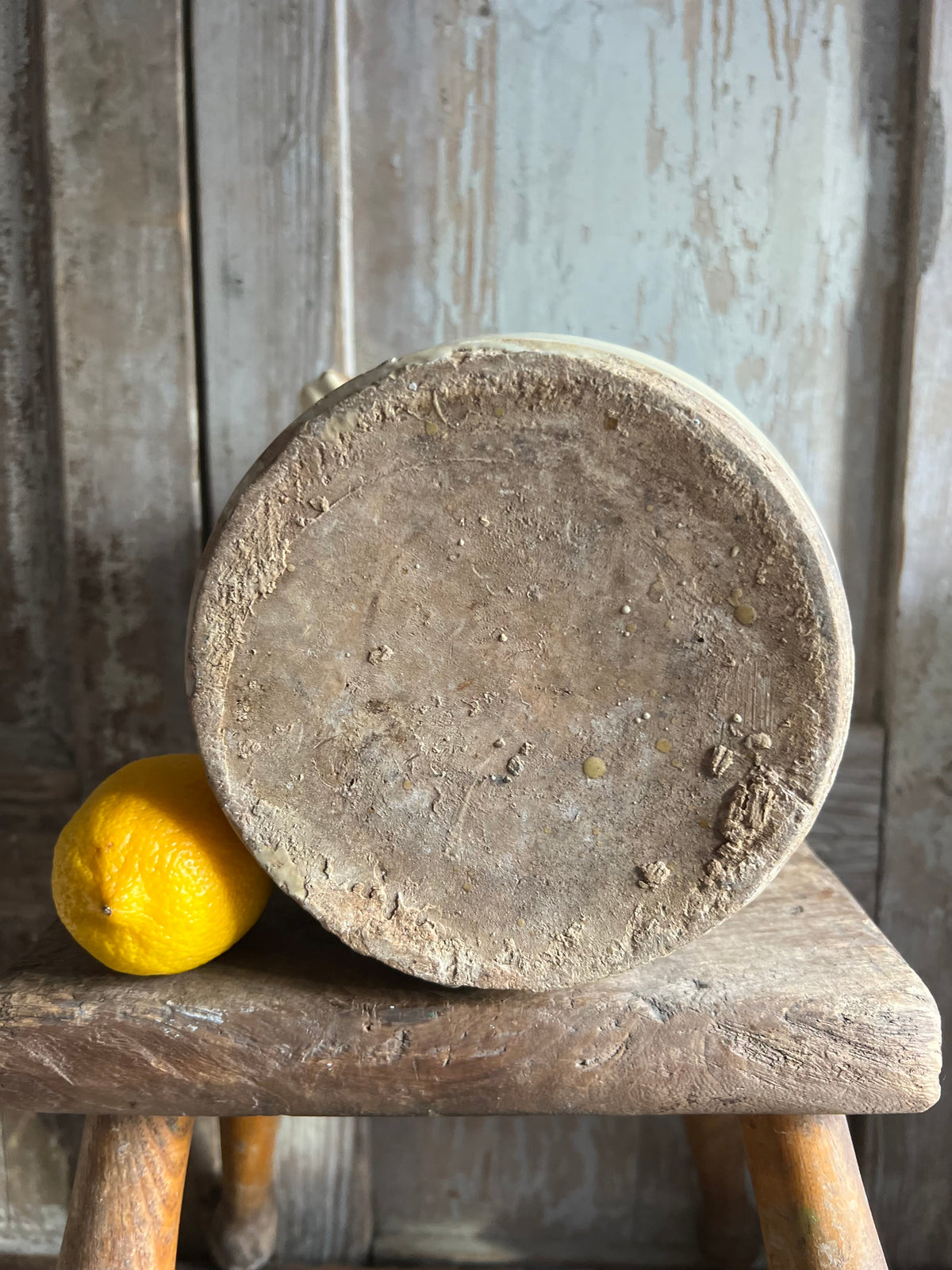 19th Century Italian Anchovy / Sardine Pot