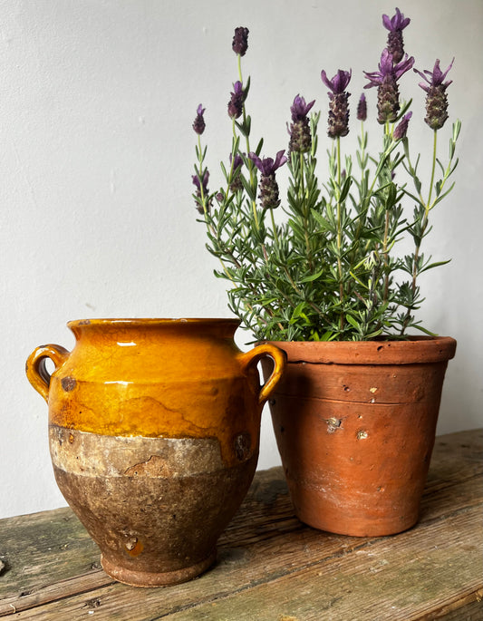 Rare Small Size Antique French Confit Pot