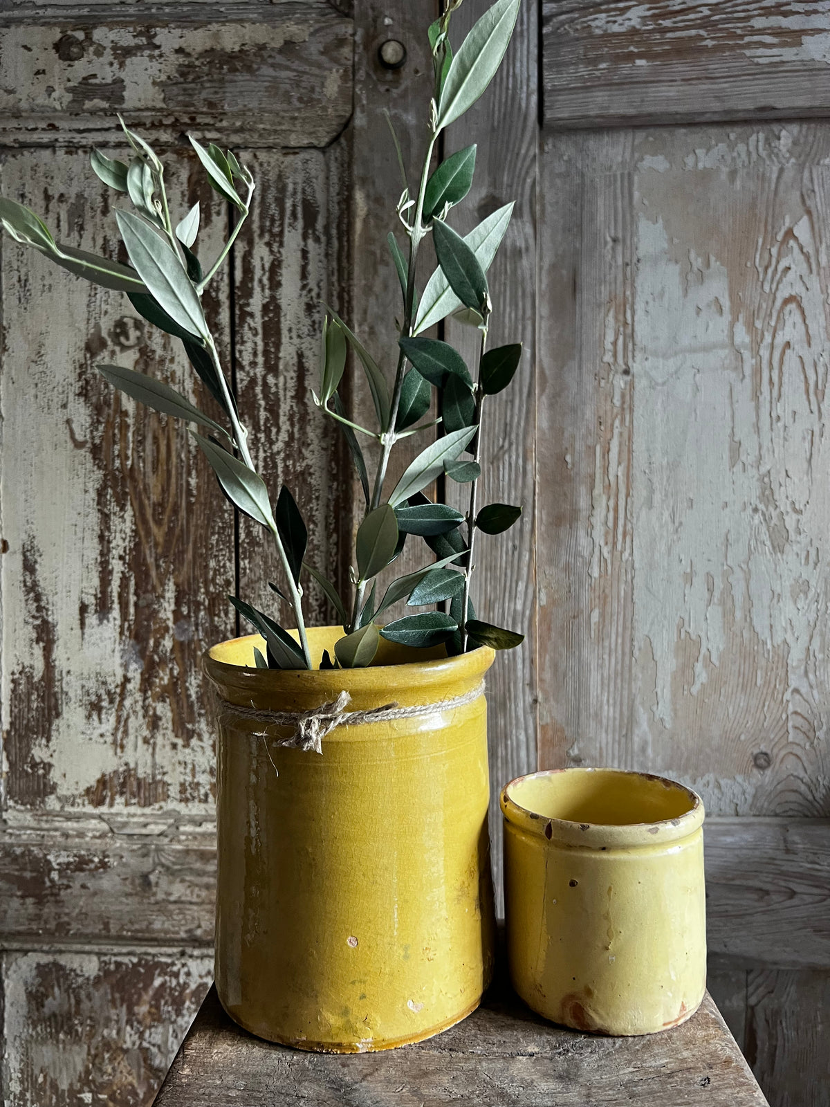 French Antique Yellow Confiture Pot