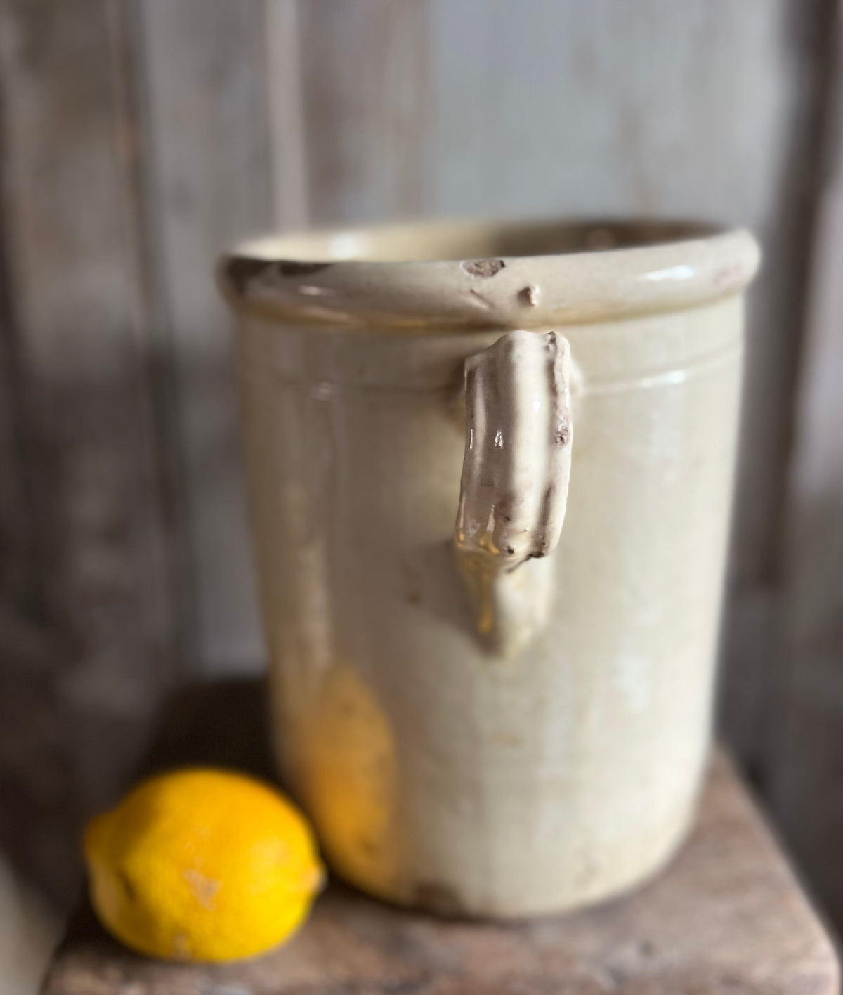 19th Century Italian Anchovy / Sardine Pot