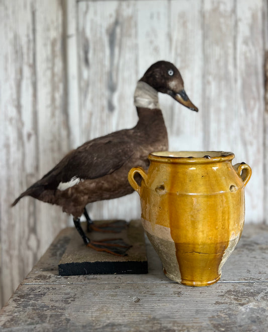 Beautiful Glazed French Confit Pot