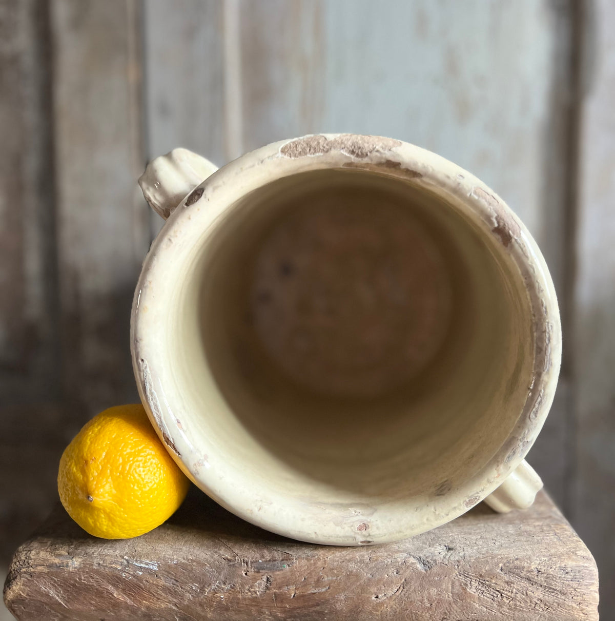 19th Century Italian Anchovy / Sardine Pot